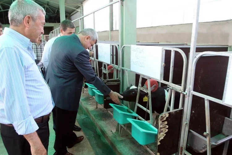 Başkan, "Hayvancılıkta modern tesisler artmalı"