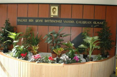 KAYMAKAMLIKTA GÜLLER AÇTI