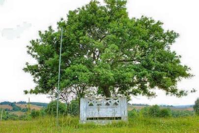 Kurtbaba Türbesi, bakım bekliyor