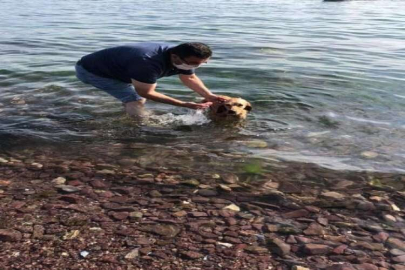 Muhtar Ahmet Mızrak; köpeği yüzdürdü