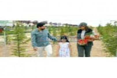 Her Anneye Bir Fidan