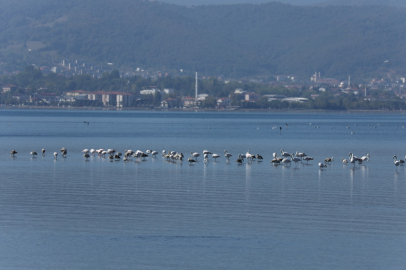 Bu güzelliği görmelisiniz