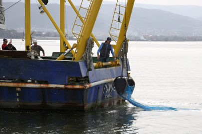 İzmit Körfezi’nde biyoçeşitliliğin tespiti