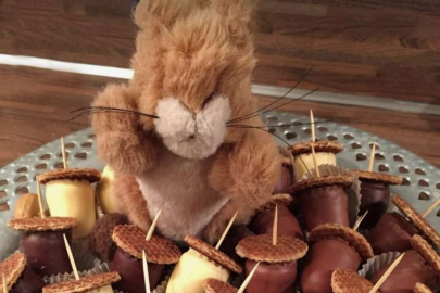 Çocuklar, Sincabın Meşeli Mutfağında buluşalım