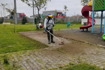 Körfez’de Yabani Ot Biçme Çalışmaları Sürüyor