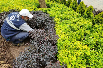 Cumhuriyet Bulvarı’nda yaza hazırlık