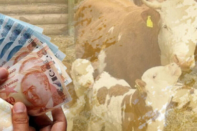 1,46 milyar TL tarımsal destek hesaplarda