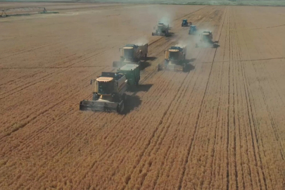 Şanlıurfa Ceylanpınar’da yılın ilk hasadı