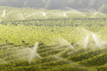 7 bin 160 tarımsal projeye 10,2 milyar TL'lik hibe