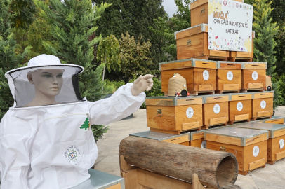 Muğla’da çam balı hasadı coşkuyla kutlandı