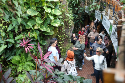 Konya Selçuklu’da Şeb-i Arus yoğunluğu