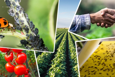 Tarımsal üretimi destekleyecek önemli düzenleme... Tarımsal destek ödemelerine ayar