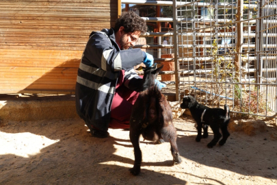 Doğal Yaşam Parkı’nda soğuk alarmı