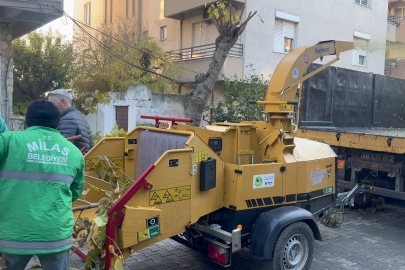 Muğla Milas'ta dal öğütme makinesi hizmette