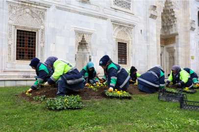 Bursa kışın da adeta çiçek bahçesi