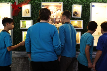 Samsun'da ortaokul öğrencilerinden okulda Doğa Müzesi