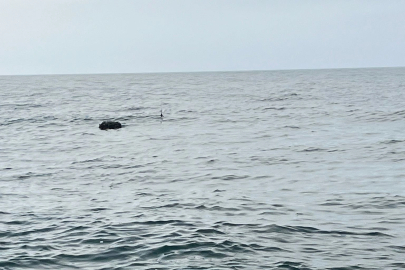 Karadeniz’deki şüpheli mayın SAS timlerince imha edildi!