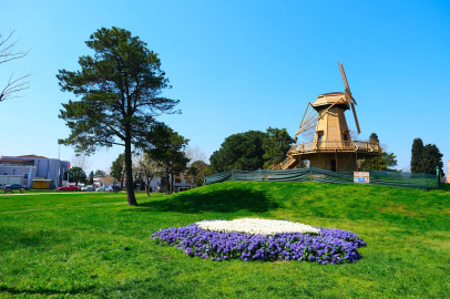 Sakarya’da baharın büyüleyici cümbüşü