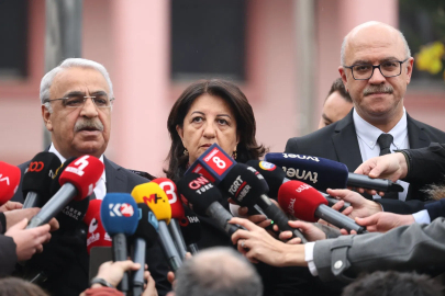 DEM Parti İmralı Heyeti: Demokratikleşme hayati ihtiyaç
