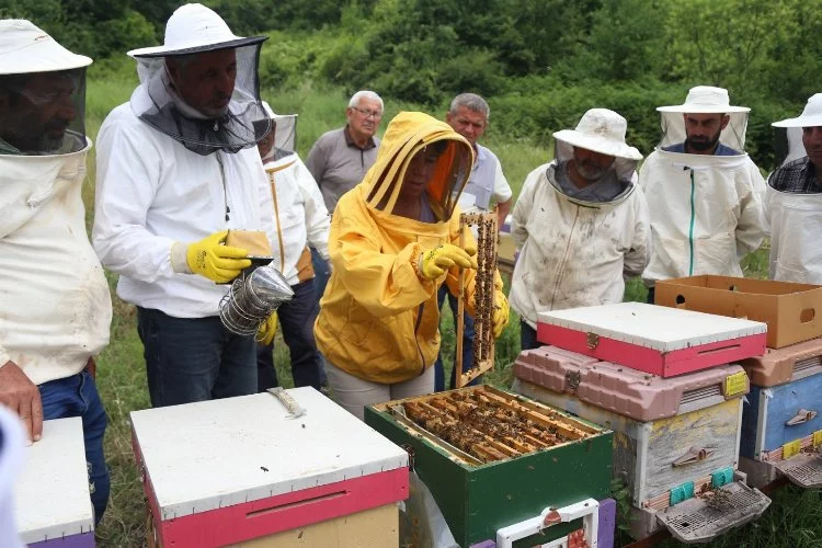 Arı yetiştiricileri ilkleri KO-MEK’te öğreniyor